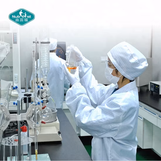 Bio-Hericium-Pilz-Pflanzenextrakt, Löwenmähnen-Extrakt, Pilz-Kräuterpulver mit wasserlöslicher Wirkung für die Immunität