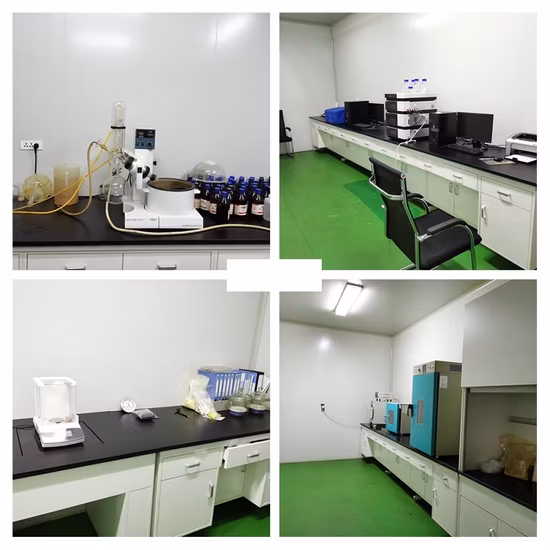 Weizenkeimextrakt feuchtigkeitsspendende kosmetische Rohstoffe 30 % Ceramid CAS: 100403-19-8